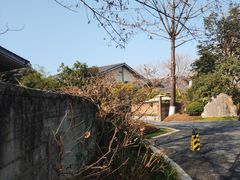 -新荣记(西溪湿地店)