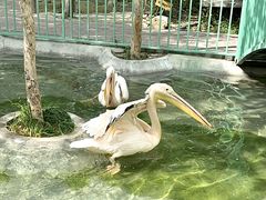 -水上乐园·欢乐世界