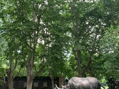 -静安公园(静安寺街道)