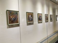 -上海市普陀区文化馆