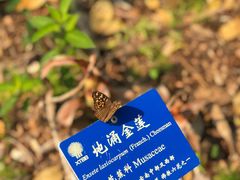 -中国科学院西双版纳热带植物园