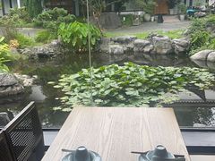 -日出青木