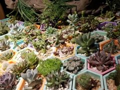 -王红军龙虾(新民路店)