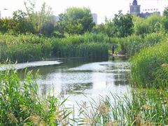 -五里湖湿地公园