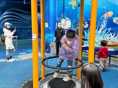 -中国宋庆龄青少年科技文化交流中心