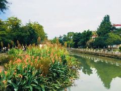 -桂湖森林公园
