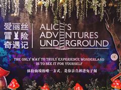 -爱丽丝冒险奇遇记