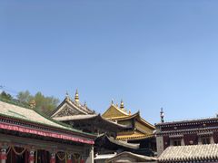 -塔尔寺游客服务中心