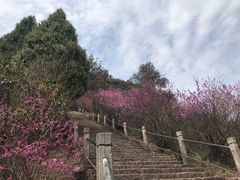 -天台山赤城山景区