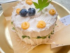 -野草莓自由市场
