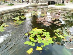 -晋江五店市传统文化旅游区
