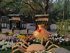 -上海共青森林公园