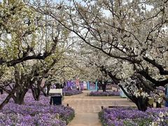 -江苏三台山国家森林公园