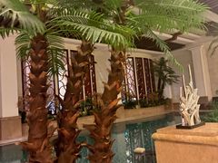 -水之梦(黄浦店)