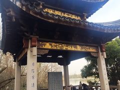 -长广溪湿地公园