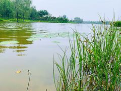 -东郊湿地公园