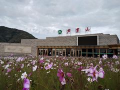 -芦芽山旅游度假区