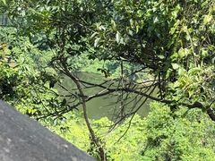 -火炉山森林公园