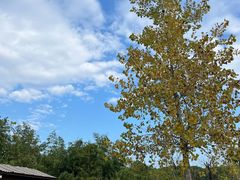 -白鹭湾湿地公园