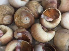 -胖大嫂渔家排档·全海景餐厅(渔村店)