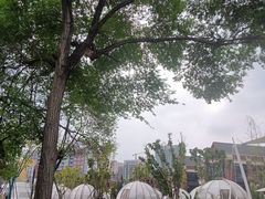 -悦见花开·花园里的火锅·露营·下午茶
