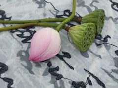 -七的湖·晚芳亭·阳澄湖农家菜·大闸蟹(莲花岛店)