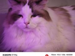 -白兔子密室(长寿路店)