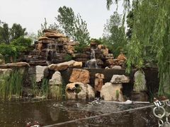 -武清南湖绿博园