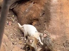 -昆明动物园