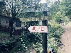 -凤栖山