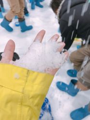 -Mr·Kuma酷么先生雪之乐园