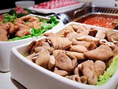 捞派肥肠-海底捞火锅(万丰桥店)