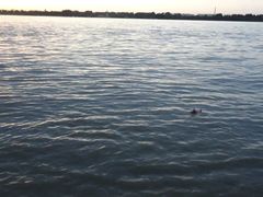 -人民防洪胜利纪念塔