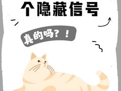 -瑞派·关忠动物医院(国瑞店)
