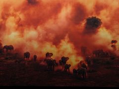 -罗红摄影艺术馆