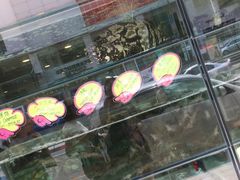 -兴旺海鲜砂煲王