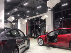 -TESLA 特斯拉(深圳观澜特斯拉直营钣喷中心)