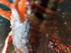 -潇湘·永州会馆(百子湾店)