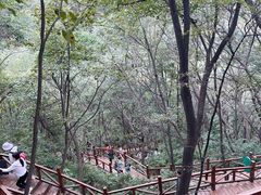 -大岭沟猕猴桃谷风景区