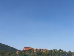 -开福禅寺