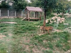 -西安秦岭野生动物园