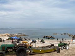 -养马岛旅游度假区