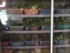 -汤锅大王(新平曹苏黄牛汤锅有限公司)