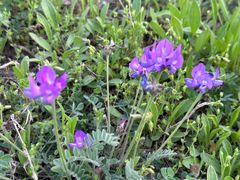 -渭河城市绿地运动公园