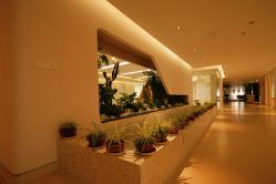 -北京和美妇儿医院