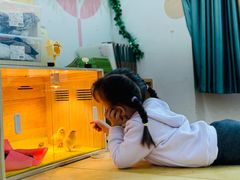 -西城区悠米幼儿园(广外园区)