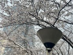 -邹开喜·炭炉鸡煲·海鲜火锅(虹口足球场店)