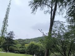 -习家池