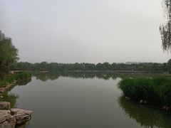 -燕郊植物园