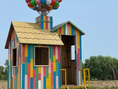 -苏州太湖西山岛开心农场